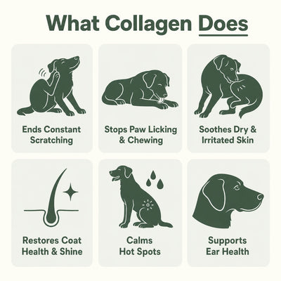 Pupied Premium Liquid Collagen