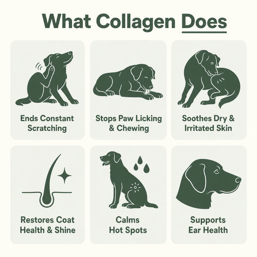 Pupied Premium Liquid Collagen